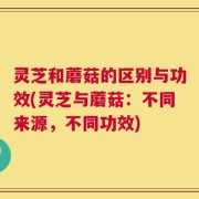 灵芝和蘑菇的区别与功效(灵芝与蘑菇：不同来源，不同功效)
