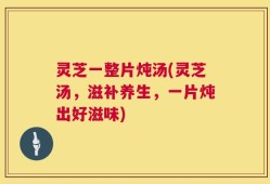 灵芝一整片炖汤(灵芝汤，滋补养生，一片炖出好滋味)