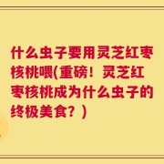 什么虫子要用灵芝红枣核桃喂(重磅！灵芝红枣核桃成为什么虫子的终极美食？)