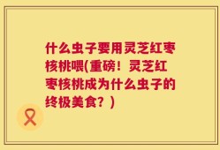 什么虫子要用灵芝红枣核桃喂(重磅！灵芝红枣核桃成为什么虫子的终极美食？)