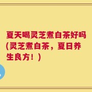 夏天喝灵芝煮白茶好吗(灵芝煮白茶，夏日养生良方！)