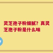 灵芝孢子粉细腻？真灵芝孢子粉是什么味