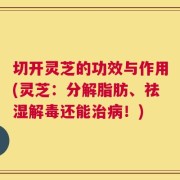 切开灵芝的功效与作用(灵芝：分解脂肪、祛湿解毒还能治病！)