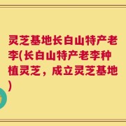 灵芝基地长白山特产老李(长白山特产老李种植灵芝，成立灵芝基地)