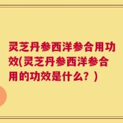 灵芝丹参西洋参合用功效(灵芝丹参西洋参合用的功效是什么？)