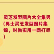 灵芝发型图片大全集男(男士灵芝发型图片集锦，时尚实用一网打尽)