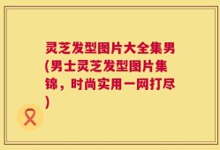 灵芝发型图片大全集男(男士灵芝发型图片集锦，时尚实用一网打尽)