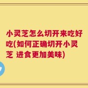 小灵芝怎么切开来吃好吃(如何正确切开小灵芝 进食更加美味)