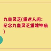 九皇灵芝(重返人间：纪念九皇灵芝重建神庙)
