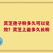 灵芝孢子粉多久可以见效？灵芝上面多久长粉