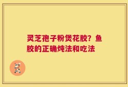 灵芝孢子粉煲花胶？鱼胶的正确炖法和吃法