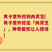 男子意外挖到肉灵芝(男子意外挖出「肉灵芝」，神奇属性让人惊讶)
