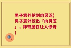 男子意外挖到肉灵芝(男子意外挖出「肉灵芝」，神奇属性让人惊讶)