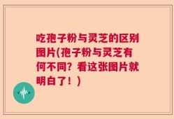 吃孢子粉与灵芝的区别图片(孢子粉与灵芝有何不同？看这张图片就明白了！)