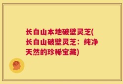 长白山本地破壁灵芝(长白山破壁灵芝：纯净天然的珍稀宝藏)