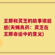 王郎和灵芝的故事读后感(天赐良药：灵芝在王郎命运中的意义)