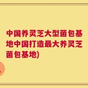 中国养灵芝大型菌包基地中国打造最大养灵芝菌包基地)