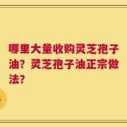 哪里大量收购灵芝孢子油？灵芝孢子油正宗做法？