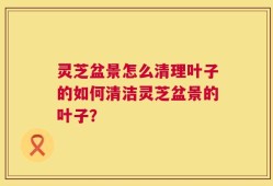 灵芝盆景怎么清理叶子的如何清洁灵芝盆景的叶子？