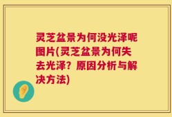 灵芝盆景为何没光泽呢图片(灵芝盆景为何失去光泽？原因分析与解决方法)