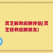 灵芝解救应酬伴侣(灵芝拯救应酬损友)