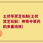土伏苓灵芝石斛(土伏灵芝石斛：神奇中草药的多重功效)