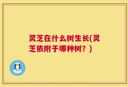 灵芝在什么树生长(灵芝依附于哪种树？)