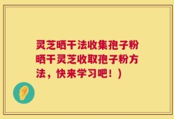 灵芝晒干法收集孢子粉晒干灵芝收取孢子粉方法，快来学习吧！)