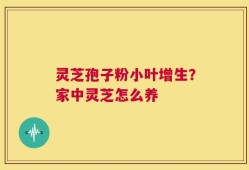 灵芝孢子粉小叶增生？家中灵芝怎么养
