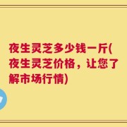 夜生灵芝多少钱一斤(夜生灵芝价格，让您了解市场行情)