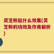 灵芝粉起什么效果(灵芝粉的功效及作用解析)