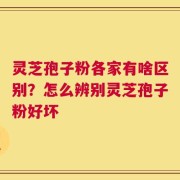 灵芝孢子粉各家有啥区别？怎么辨别灵芝孢子粉好坏