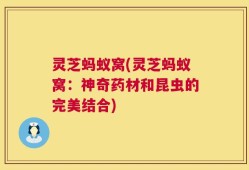 灵芝蚂蚁窝(灵芝蚂蚁窝：神奇药材和昆虫的完美结合)