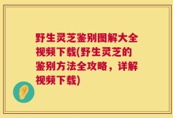 野生灵芝鉴别图解大全视频下载(野生灵芝的鉴别方法全攻略，详解视频下载)