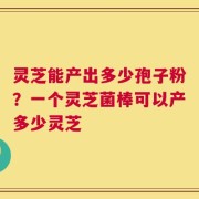 灵芝能产出多少孢子粉？一个灵芝菌棒可以产多少灵芝