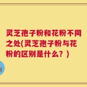 灵芝孢子粉和花粉不同之处(灵芝孢子粉与花粉的区别是什么？)
