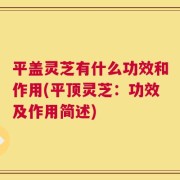平盖灵芝有什么功效和作用(平顶灵芝：功效及作用简述)