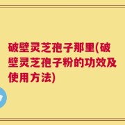 破壁灵芝孢子那里(破壁灵芝孢子粉的功效及使用方法)