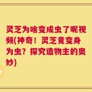 灵芝为啥变成虫了呢视频(神奇！灵芝竟变身为虫？探究造物主的奥妙)