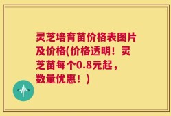 灵芝培育苗价格表图片及价格(价格透明！灵芝苗每个0.8元起，数量优惠！)