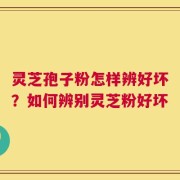 灵芝孢子粉怎样辨好坏？如何辨别灵芝粉好坏
