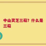 中山灵芝三萜？什么是三萜