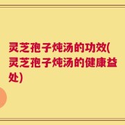 灵芝孢子炖汤的功效(灵芝孢子炖汤的健康益处)