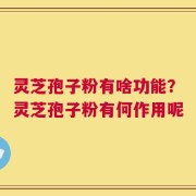 灵芝孢子粉有啥功能？灵芝孢子粉有何作用呢