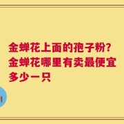 金蝉花上面的孢子粉？金蝉花哪里有卖最便宜多少一只
