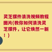 灵芝摆件清洗视频教程图片(教你如何清洗灵芝摆件，让它焕然一新！)