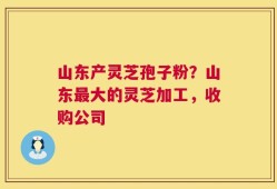 山东产灵芝孢子粉？山东最大的灵芝加工，收购公司