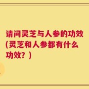请问灵芝与人参的功效(灵芝和人参都有什么功效？)