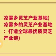 凉雾乡灵芝产业基地(凉雾乡的灵芝产业基地：打造全球最优质灵芝产业链)