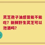 灵芝孢子油感冒能不能吃？新鲜野生灵芝可以泡酒吗？